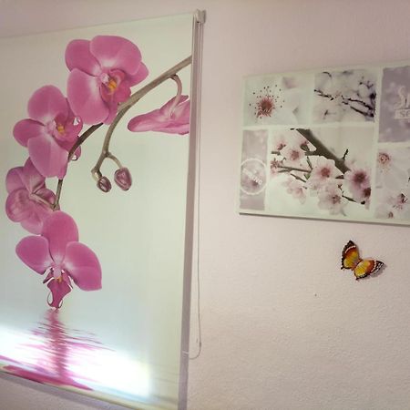 Willa La Casita De Ana. Puerta Valencia. Casco Antiguo Cuenca  Zewnętrze zdjęcie